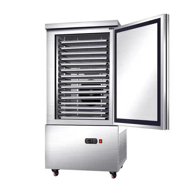 15-Tray Rapid Blast Freezer