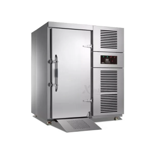 Blast Freezer Single-Door Trolley Roll-in (2)