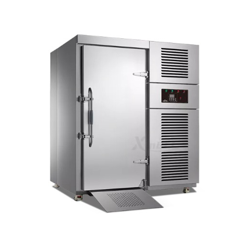 Blast Freezer Single-Door Trolley Roll-in (2)