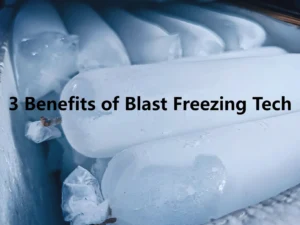 Home 9 Blast Freezing Preservation